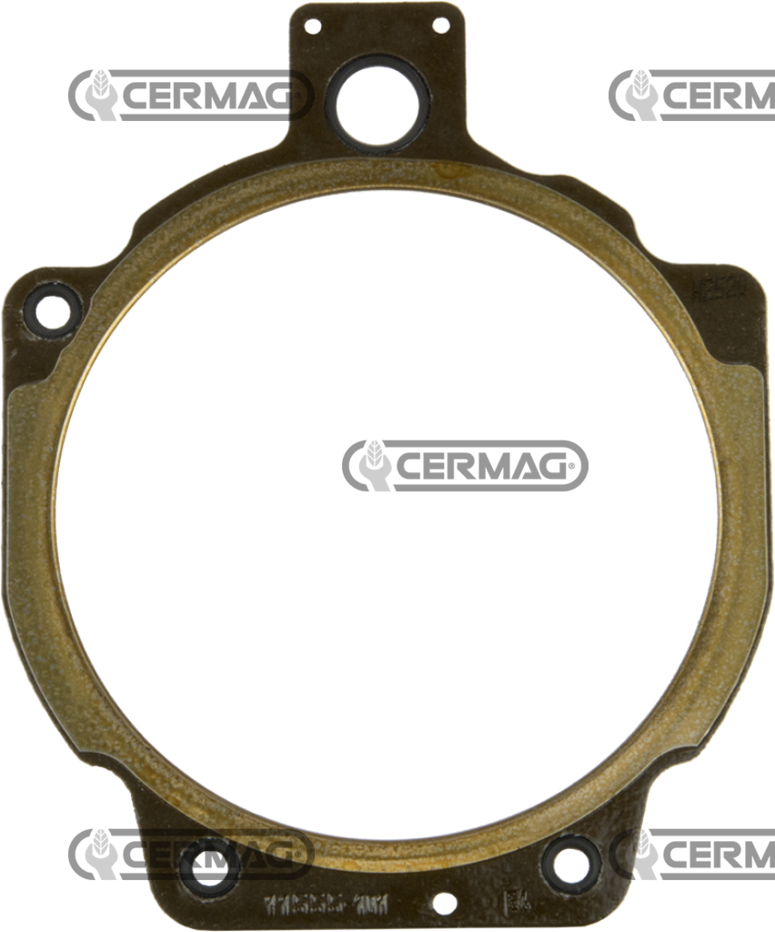 guarnizione testa 2 fori 1,4mm     