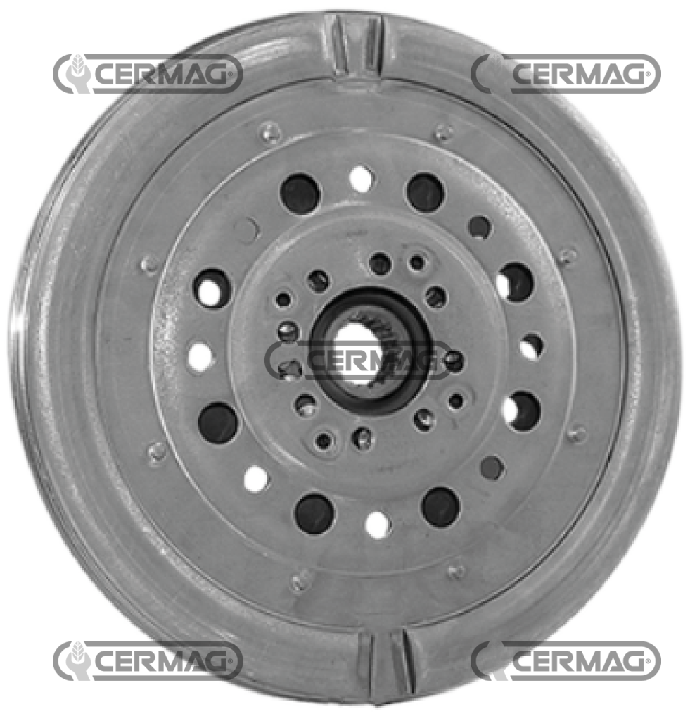 Ammortizzatore parastrappi