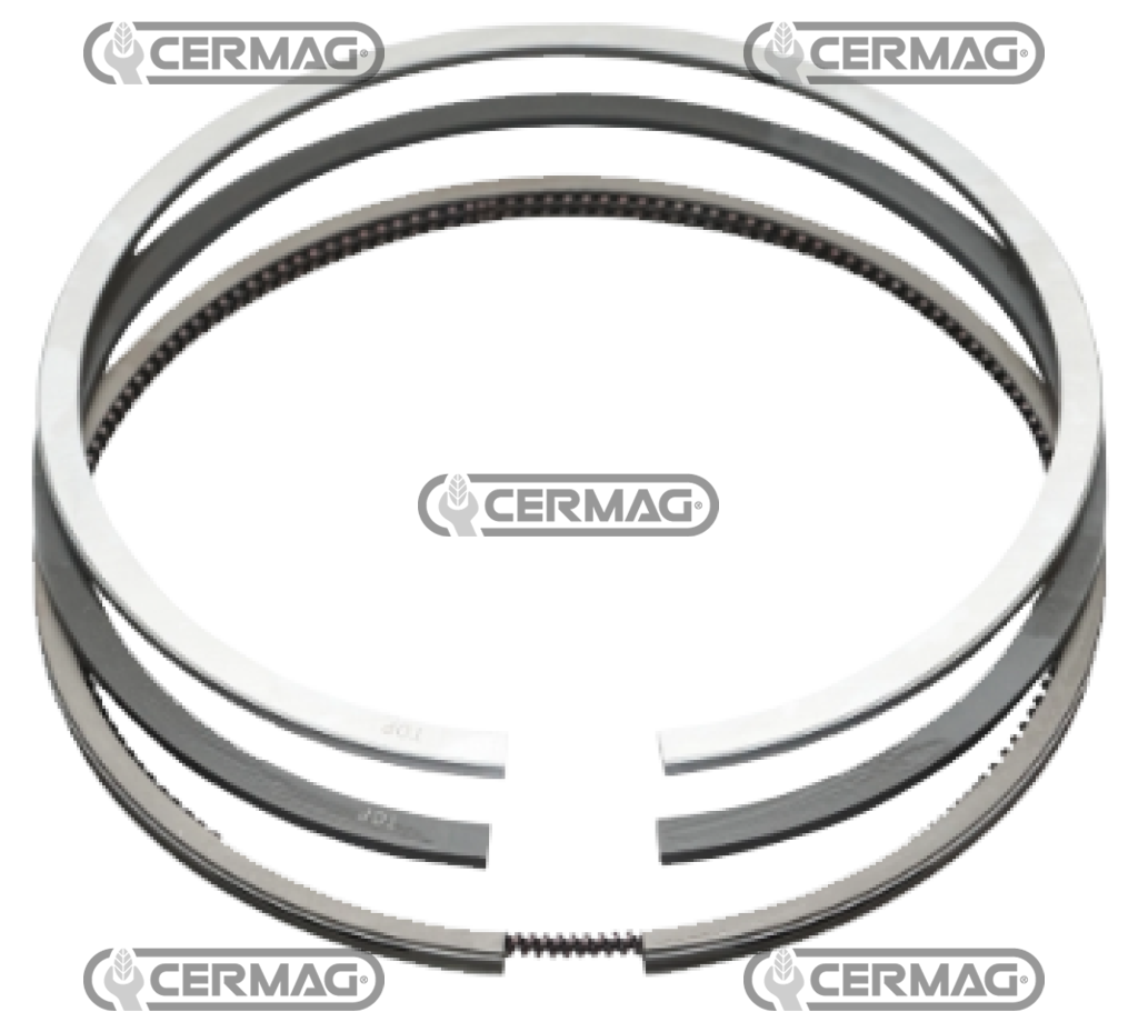 Jeu de segments FIAT 8045.04