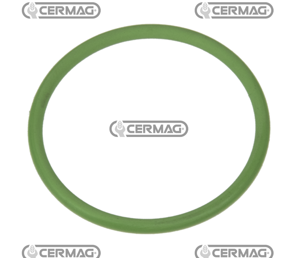 O-Ring in VITON per collettori