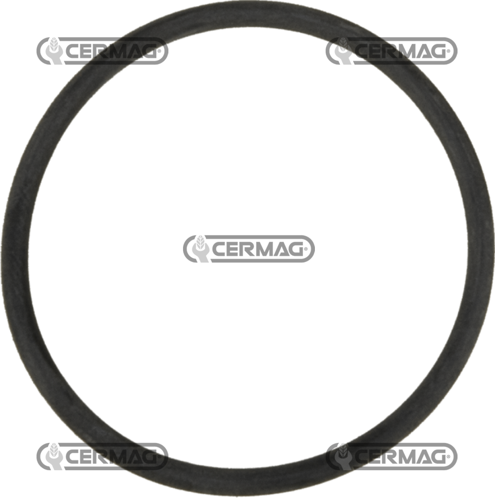 O-Ring in EPDM