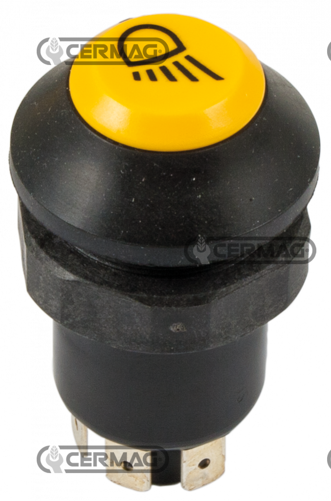 Button with worklight symbol
