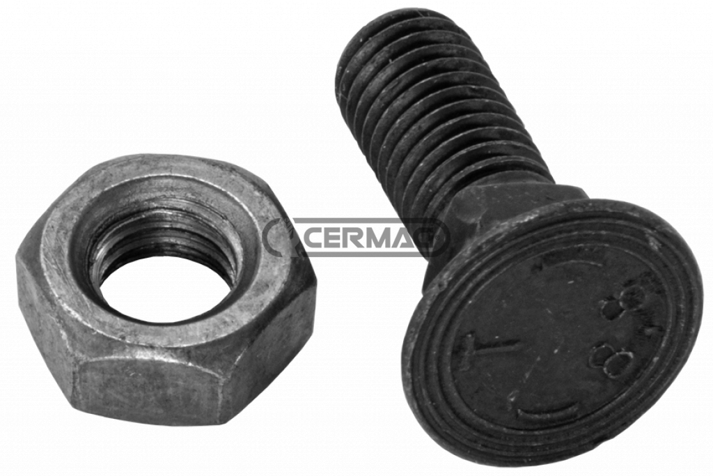 FLARED ROUND HEAD SCREW FOR SHARES