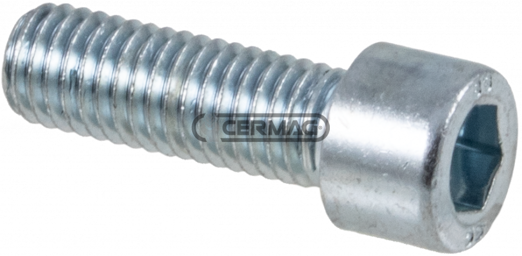 Cylindrical head screw with hexagon socket