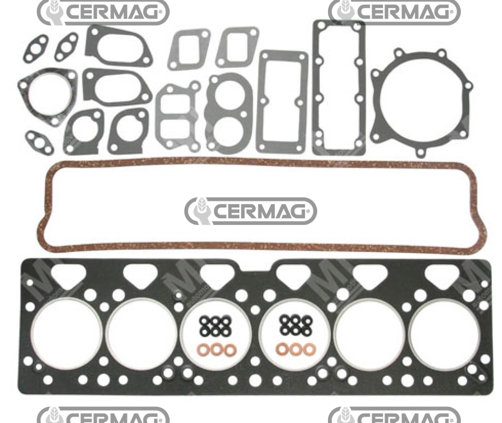 serie guarniz. smeriglio PERKINS TW