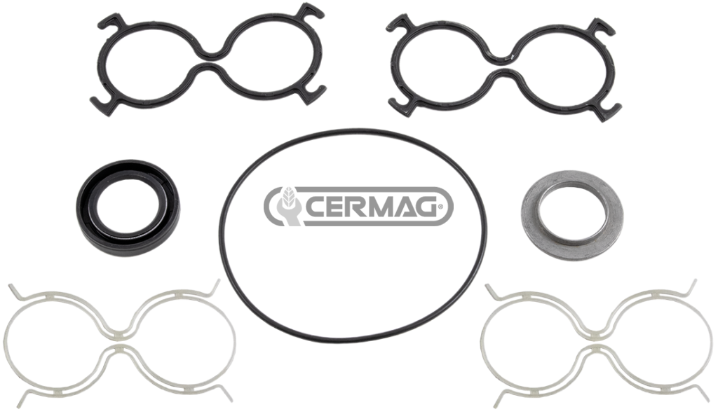Serie guarnizioni per pompa oleodinamica tipo vecchio 81679