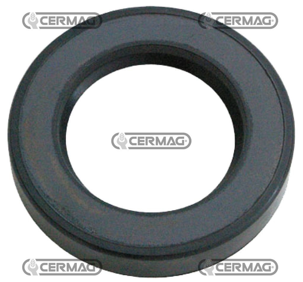 paraolio 47.7x79.8x12.6            