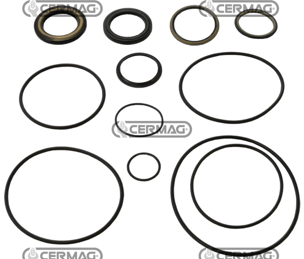 Serie guarnizione per motore OMS   