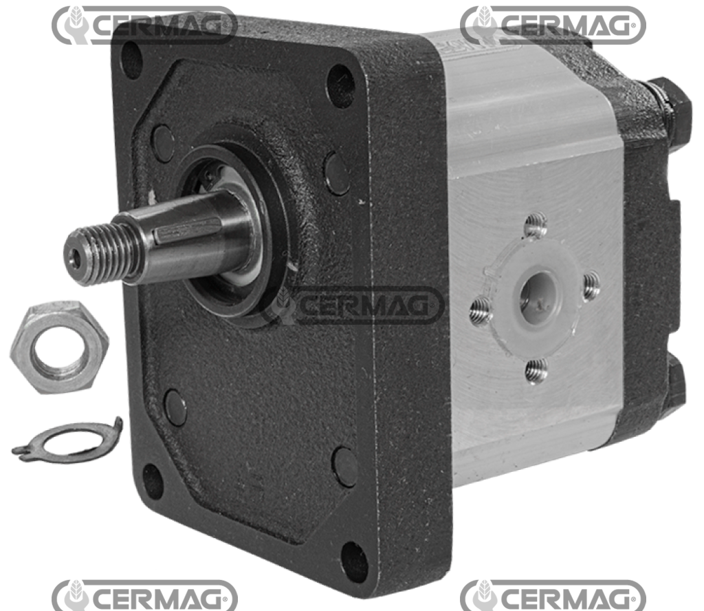 Bomba de engranajes GRUPO 2