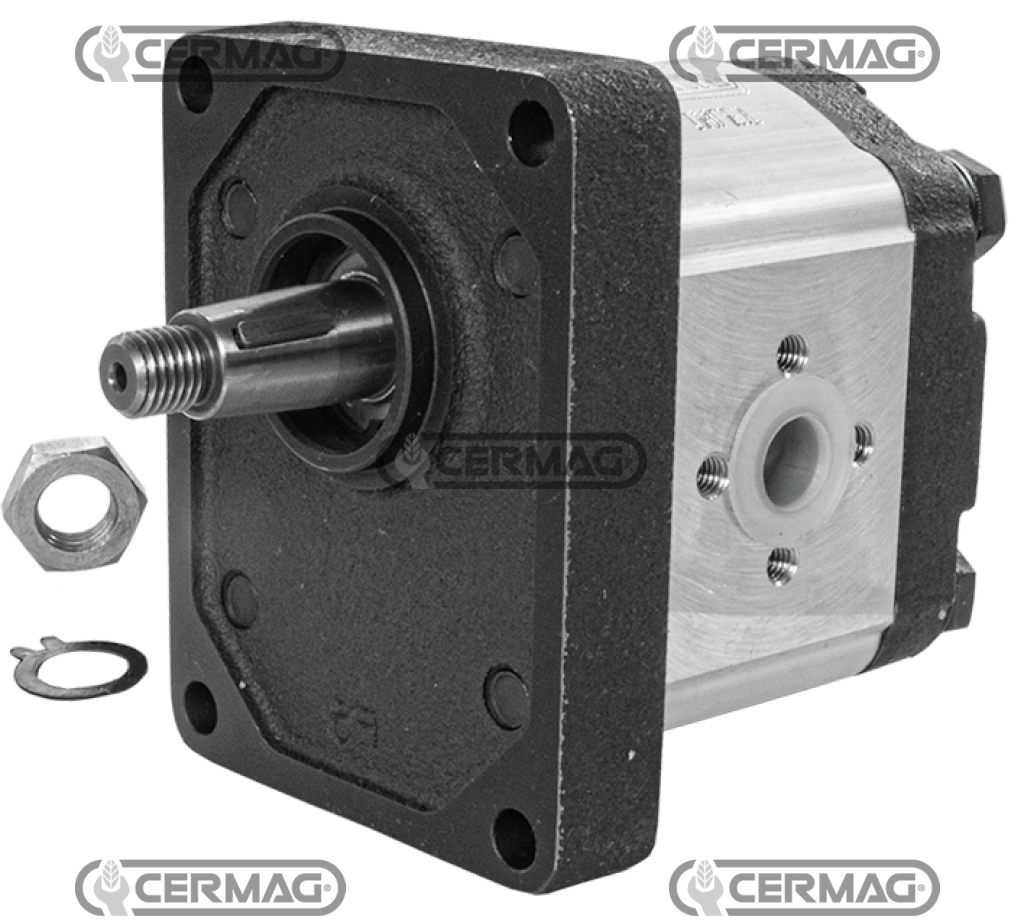 Bomba de engranajes GRUPO 2