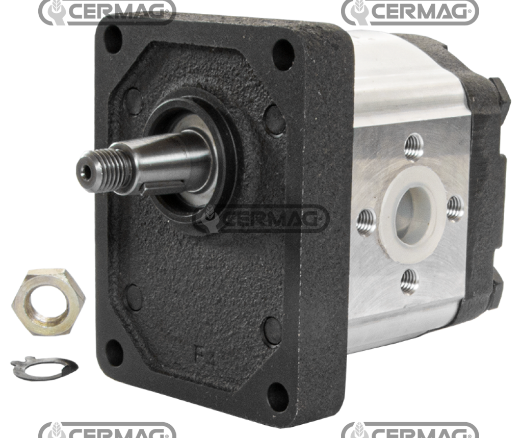 Bomba de engranajes GRUPO 2