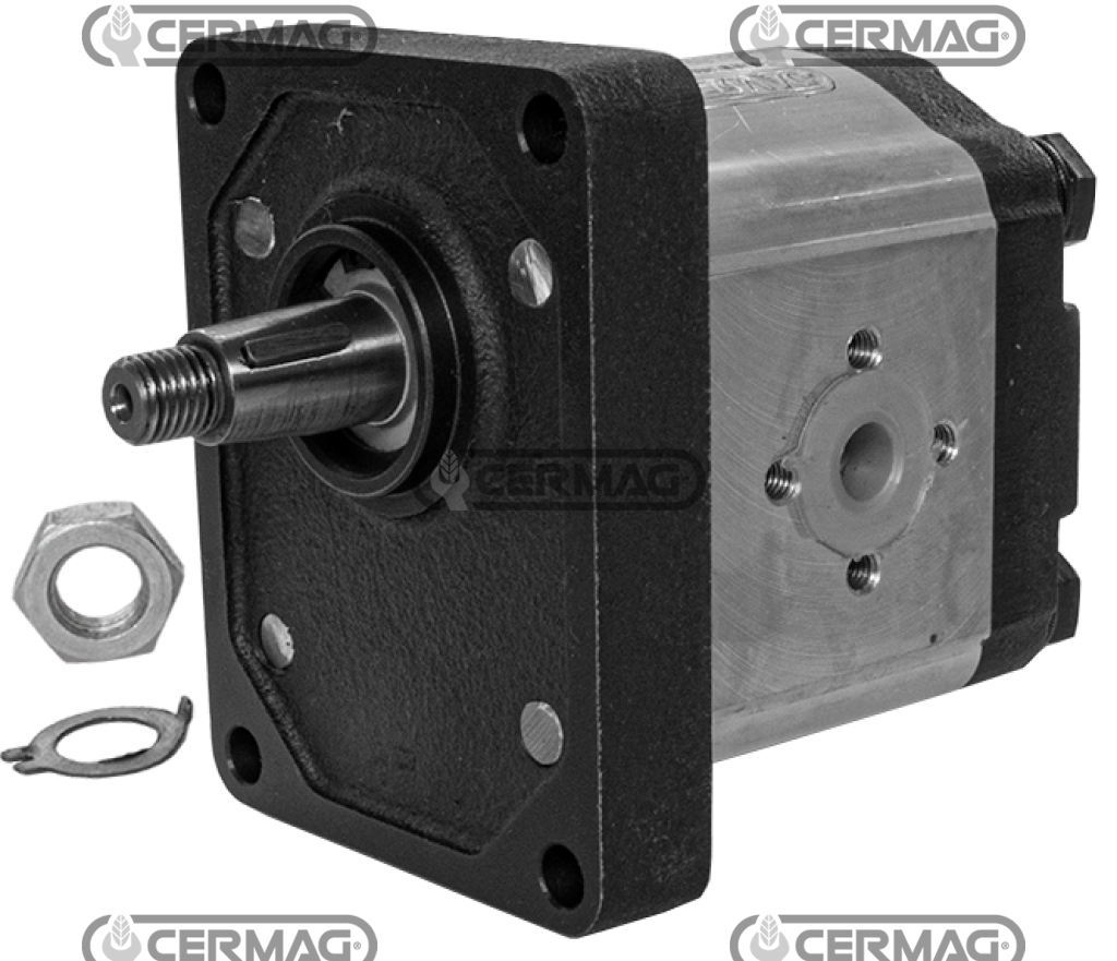 Pompa ad ingranaggi GRUPPO 2