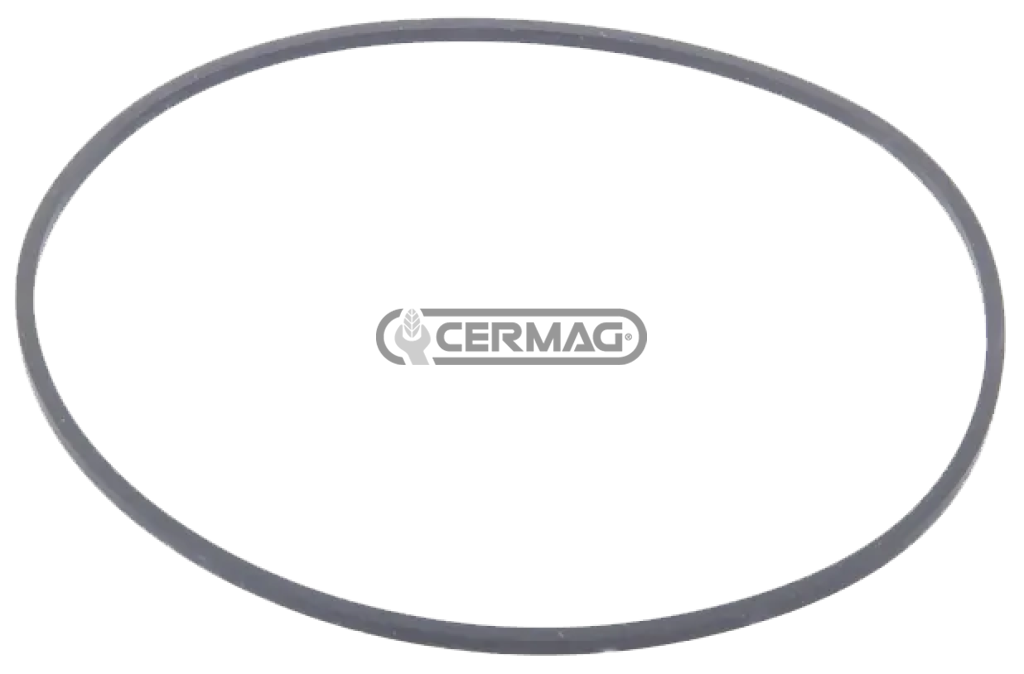 anello quad-ring 169,2x3,5         