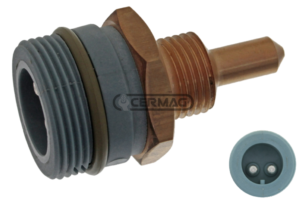 indicatore di temperatura          