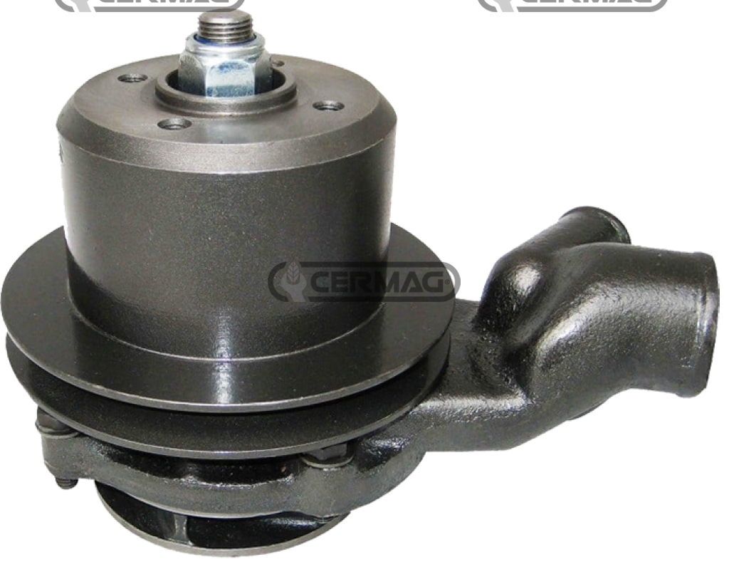 pompa acqua LANDINI REX            