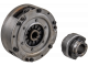 Single-plate clutch with diaphragm springs