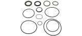 Serie guarnizione per motore OMS   