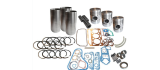 Kit de révision pour moteur PERKINS 3.152